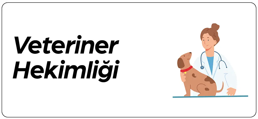 Veteriner hekimliği anketlerini yansıtan köpeği muayene eden veteriner figürlü ikon