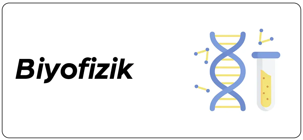 Biyofiziksel ölçüm ve moleküler yapıları simgeleyen DNA ve atom temalı ikon
